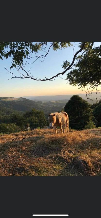 Gite De Montagne Au Pied Du Champ Du Feu Belmont  Esterno foto