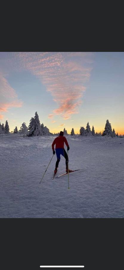 Gite De Montagne Au Pied Du Champ Du Feu Belmont  Esterno foto