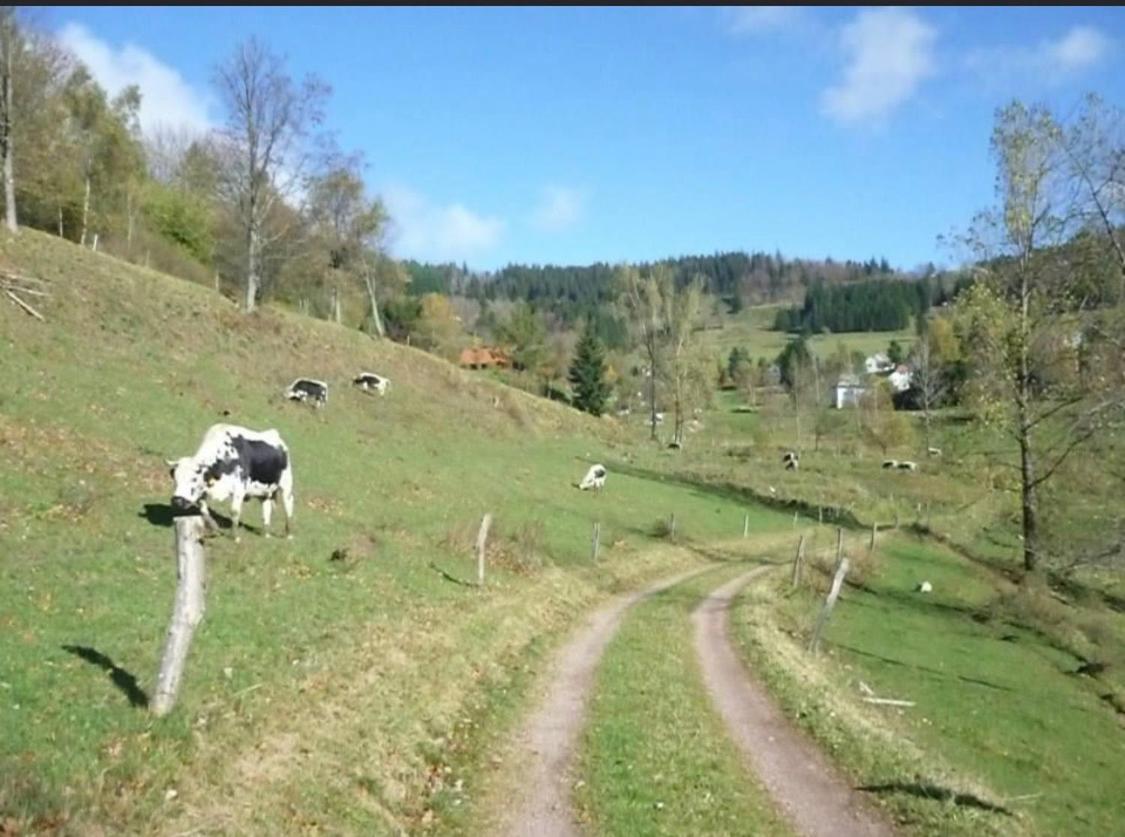 Gite De Montagne Au Pied Du Champ Du Feu Belmont  Esterno foto